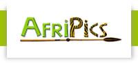 AfriPics Logo